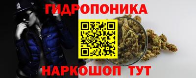 jwh Новозыбков
