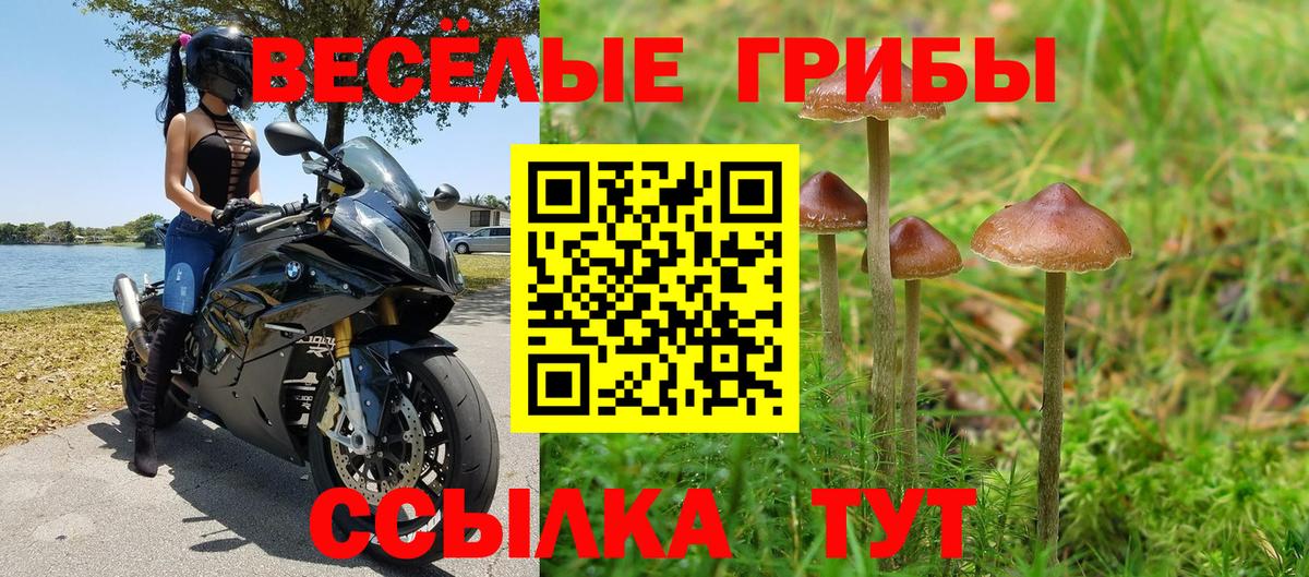 Сосновый Бор  Галлюциногенные грибы MAGIC MUSHROOMS  даркнет сайт  Вход с VPN  Галлюциногенные грибы Cubensis 