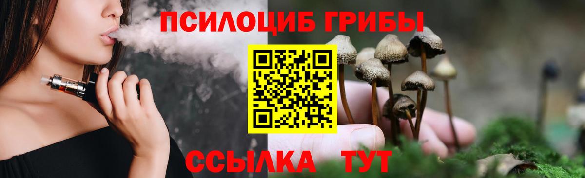 Псилоцибиновые грибы Psilocybine cubensis Сосновый Бор